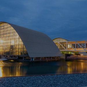 New EU Project "MOWSES"